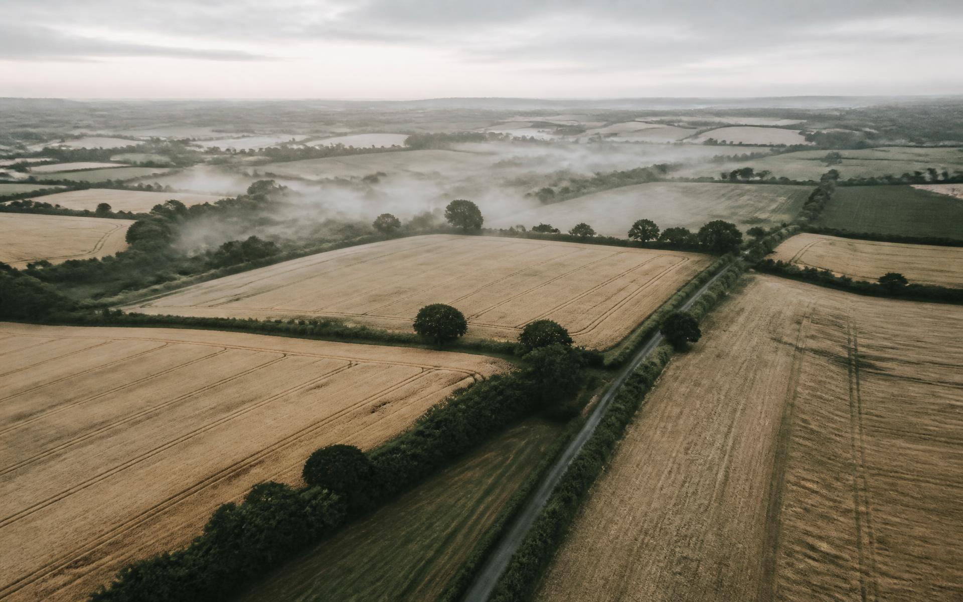 Aerial view of UK arable fields divided by hedgerows at first light